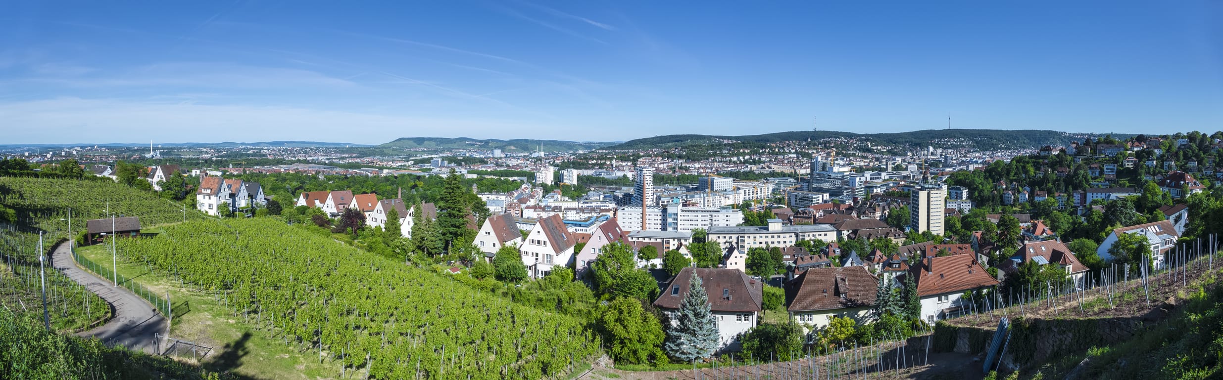 MFO Matratzen Dresden hat für jeden Kundenwunsch das richtige Produkt MFO steht für gute Qualität zu einem angemessenen Preis