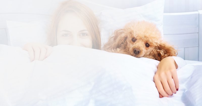 Frau mit Hund